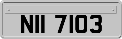 NII7103
