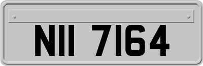 NII7164