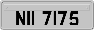 NII7175