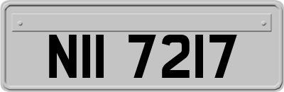 NII7217