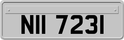 NII7231