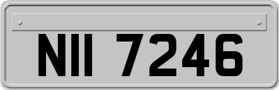 NII7246