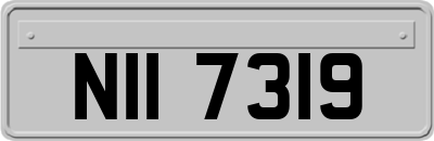 NII7319
