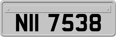 NII7538