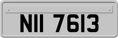 NII7613