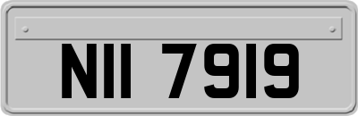 NII7919