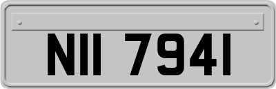 NII7941