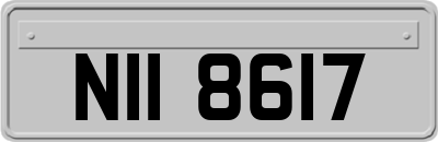 NII8617