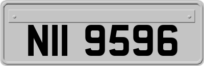 NII9596