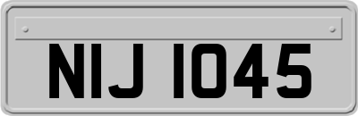 NIJ1045