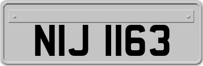 NIJ1163