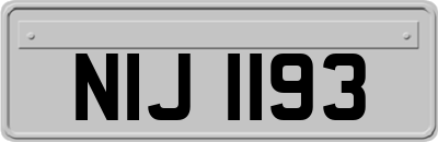 NIJ1193