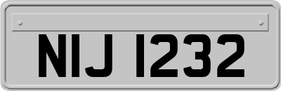 NIJ1232