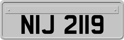 NIJ2119