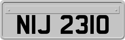 NIJ2310