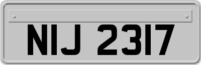 NIJ2317