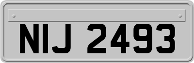 NIJ2493