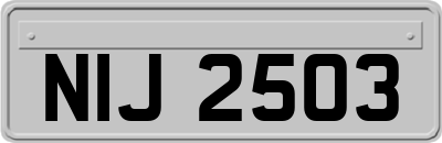 NIJ2503
