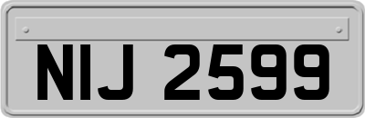 NIJ2599