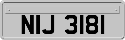 NIJ3181