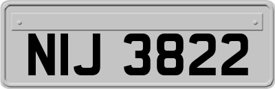 NIJ3822