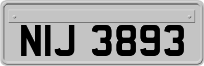 NIJ3893