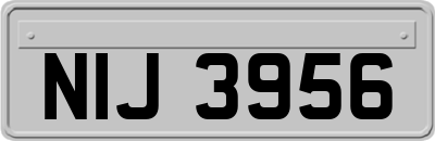 NIJ3956