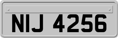 NIJ4256
