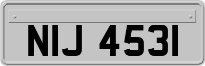 NIJ4531