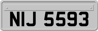 NIJ5593