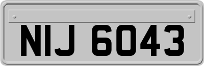 NIJ6043