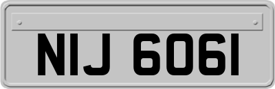 NIJ6061
