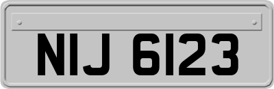 NIJ6123
