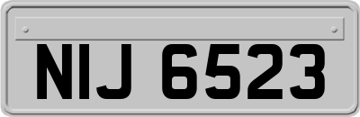 NIJ6523