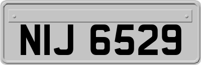 NIJ6529