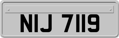 NIJ7119