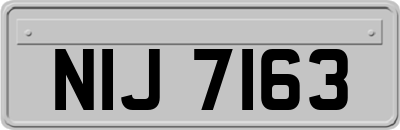 NIJ7163