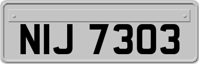 NIJ7303