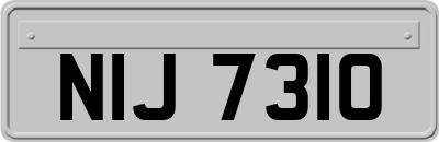 NIJ7310