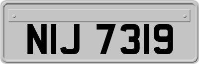 NIJ7319