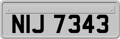 NIJ7343