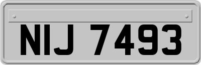 NIJ7493