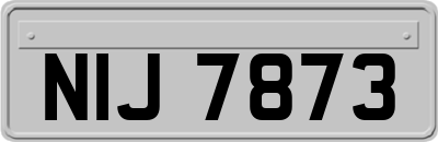 NIJ7873