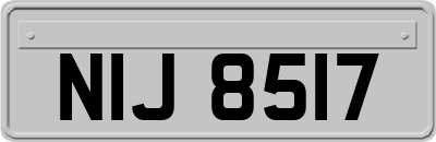 NIJ8517