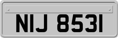 NIJ8531