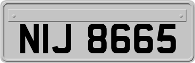 NIJ8665