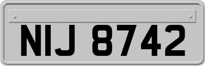 NIJ8742