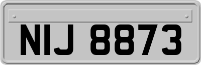 NIJ8873