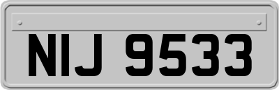 NIJ9533