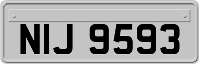 NIJ9593
